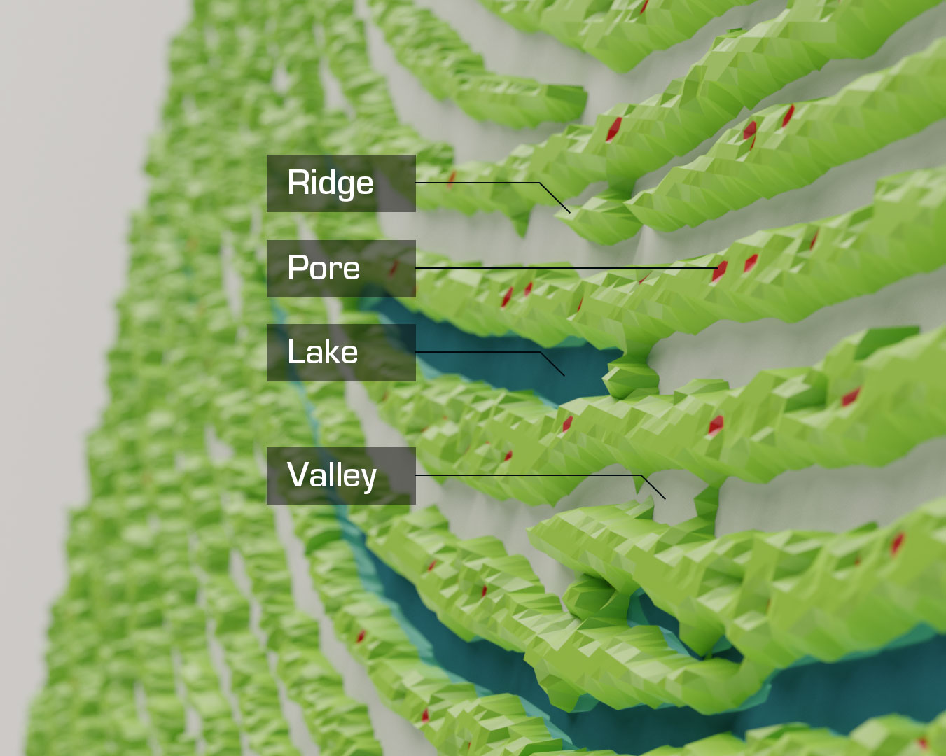 An image pointing out ridges, pores, lakes, and valleys on a fingerprint.